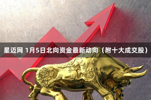 星迈网 1月5日北向资金最新动向（附十大成交股）