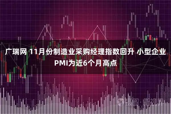 广瑞网 11月份制造业采购经理指数回升 小型企业PMI为近6个月高点