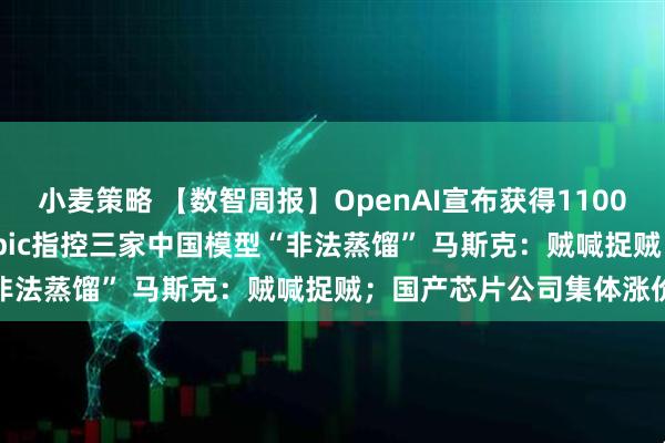 小麦策略 【数智周报】OpenAI宣布获得1100亿美元新投资；Anthropic指控三家中国模型“非法蒸馏” 马斯克：贼喊捉贼；国产芯片公司集体涨价