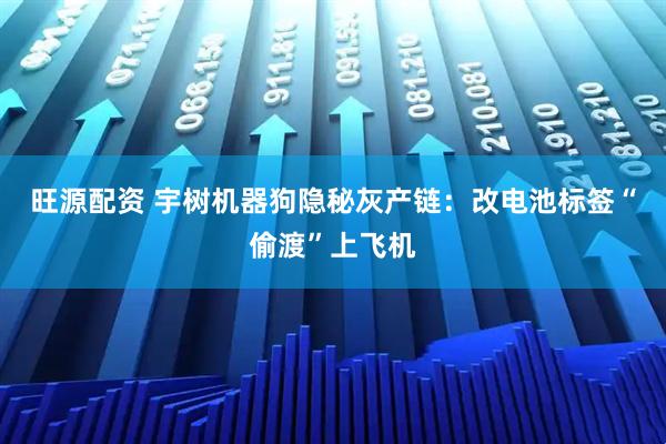 旺源配资 宇树机器狗隐秘灰产链：改电池标签“偷渡”上飞机
