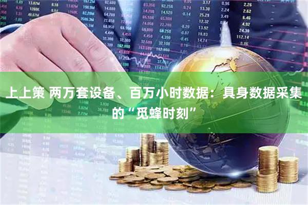 上上策 两万套设备、百万小时数据：具身数据采集的“觅蜂时刻”